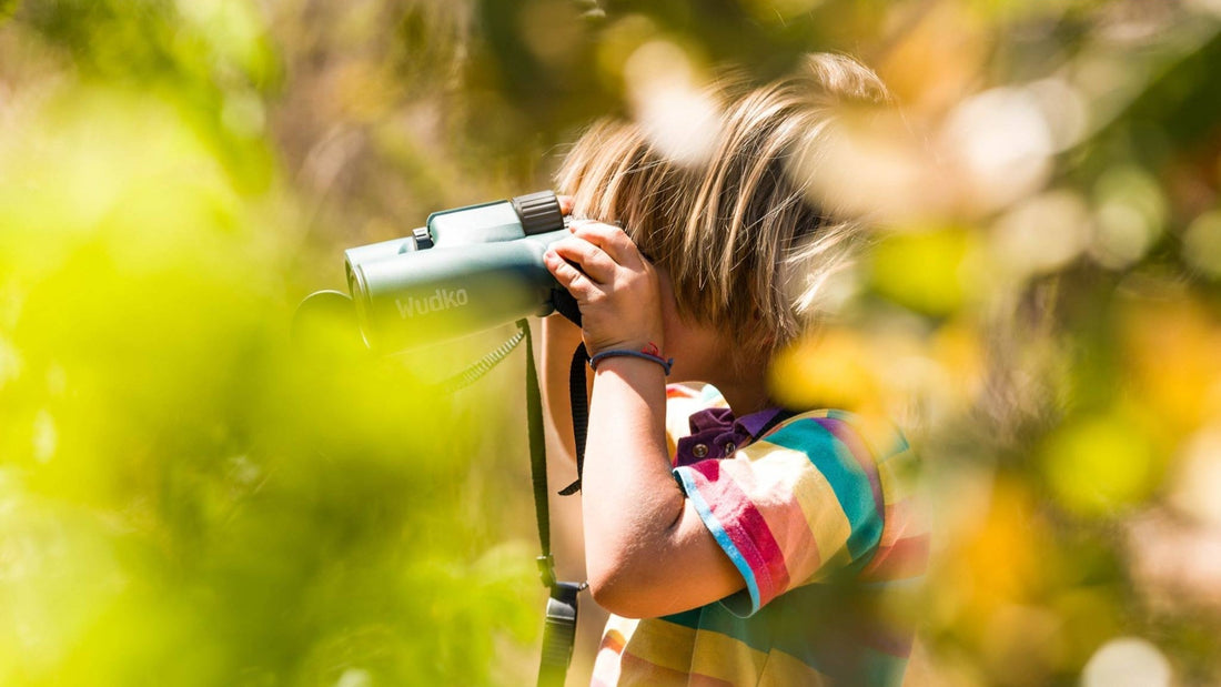 Wudko, una Década de Exploración y Aprendizaje en la Naturaleza 🫶🍃