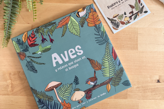 “Aves y relatos que viven en el bosque”: Un libro nacido del corazón del sur de Chile 🪶🌳