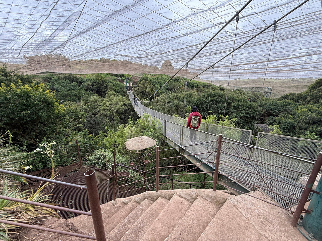 Parque Tricao: naturaleza, arte y nuevas ideas en vuelo