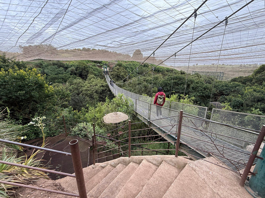 Parque Tricao: naturaleza, arte y nuevas ideas en vuelo