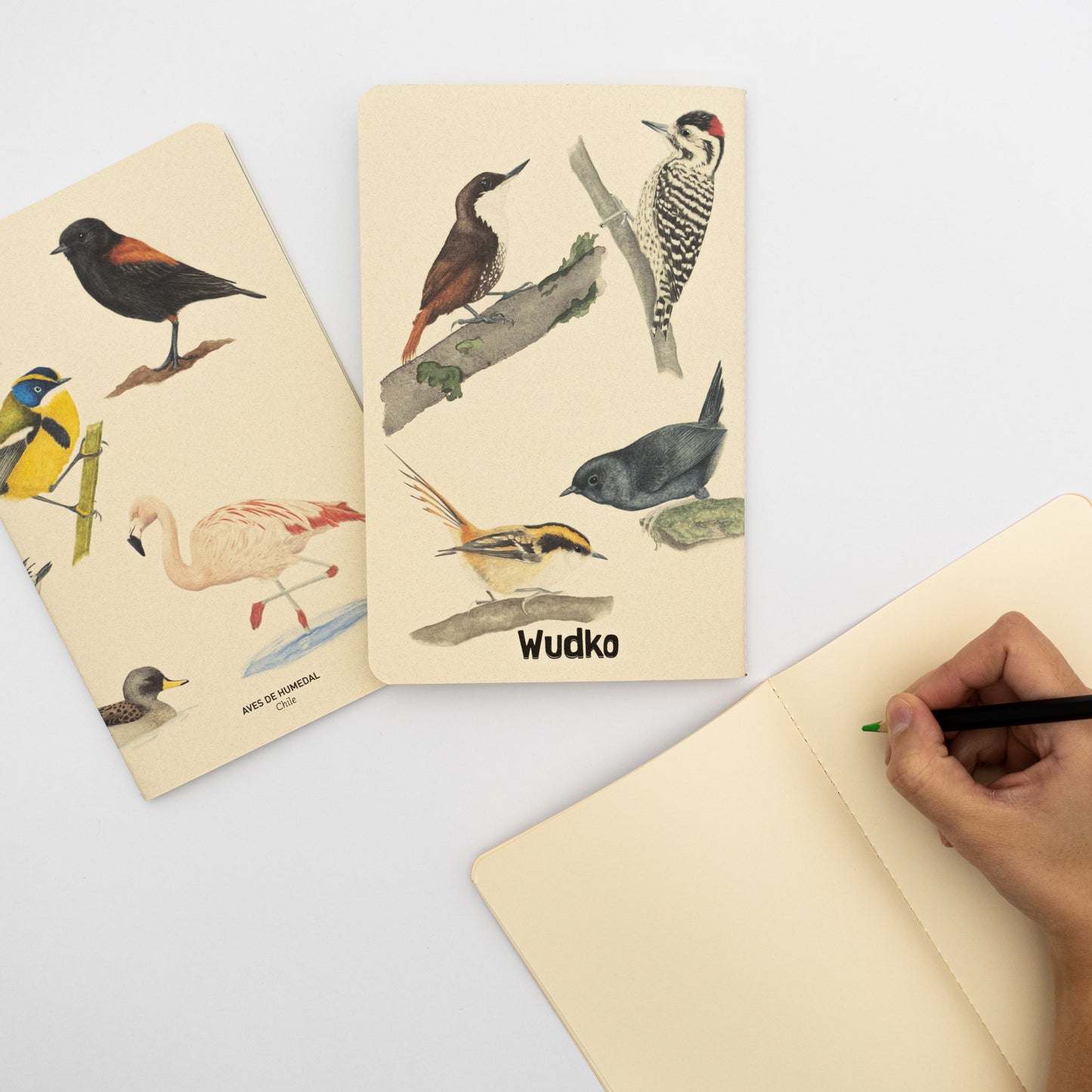 Libreta de Notas