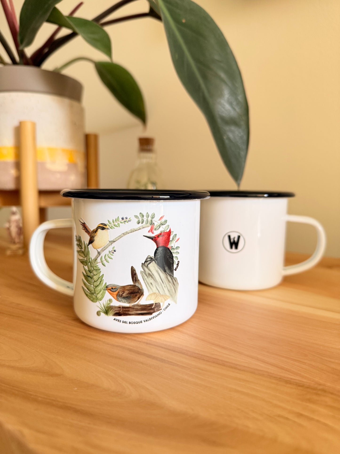 Tacho Naturaleza de Chile