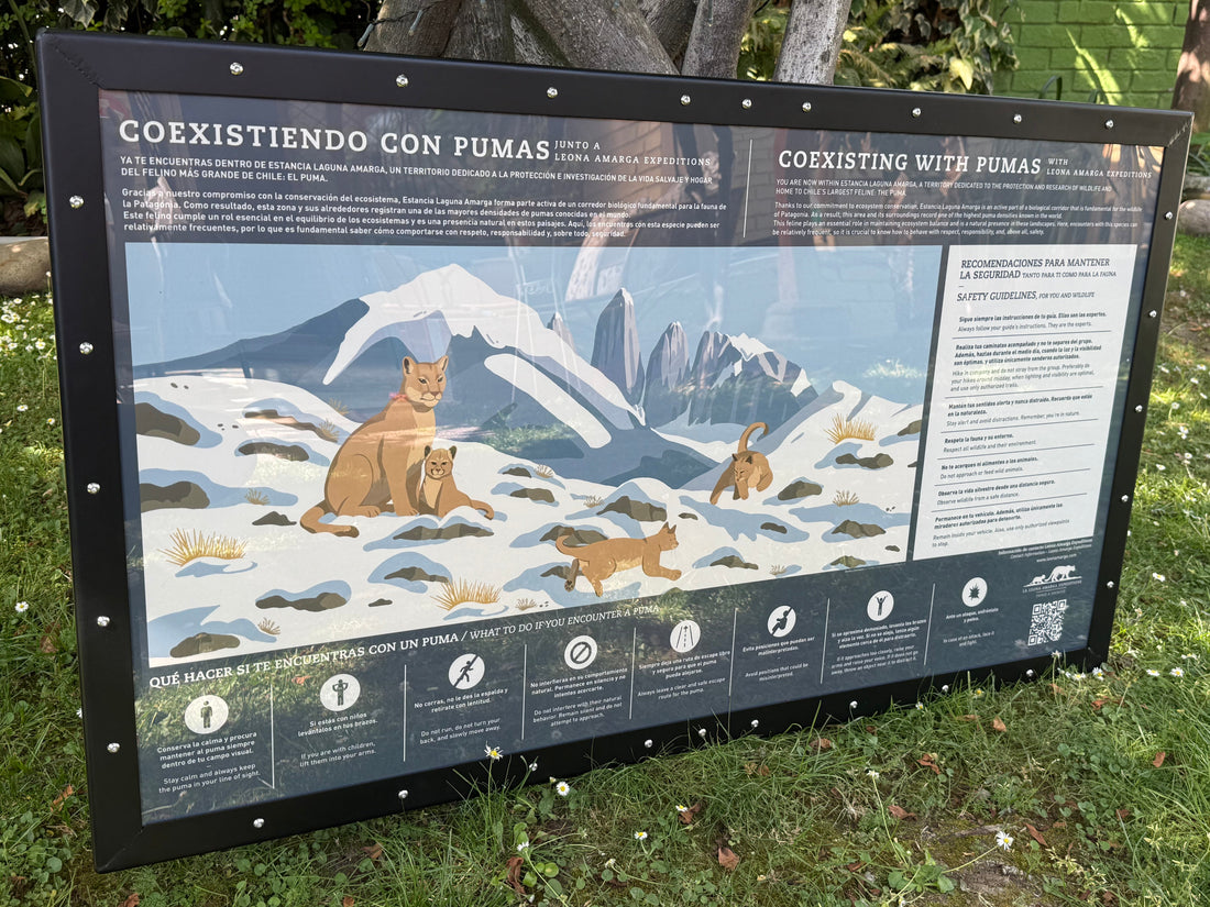 Diseño y coexistencia: tres infografías para Estancia Leona Amarga