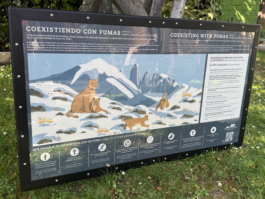 Diseño y coexistencia: tres infografías para Estancia Leona Amarga