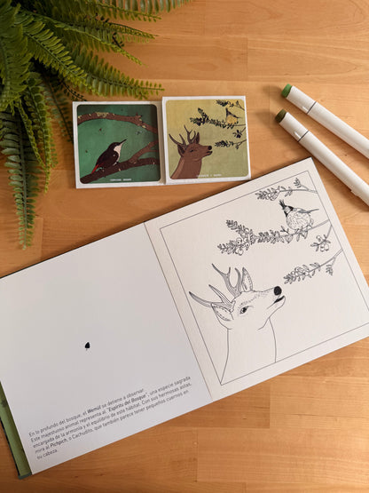 Libro para Colorear: Aves y Relatos que viven en el Bosque