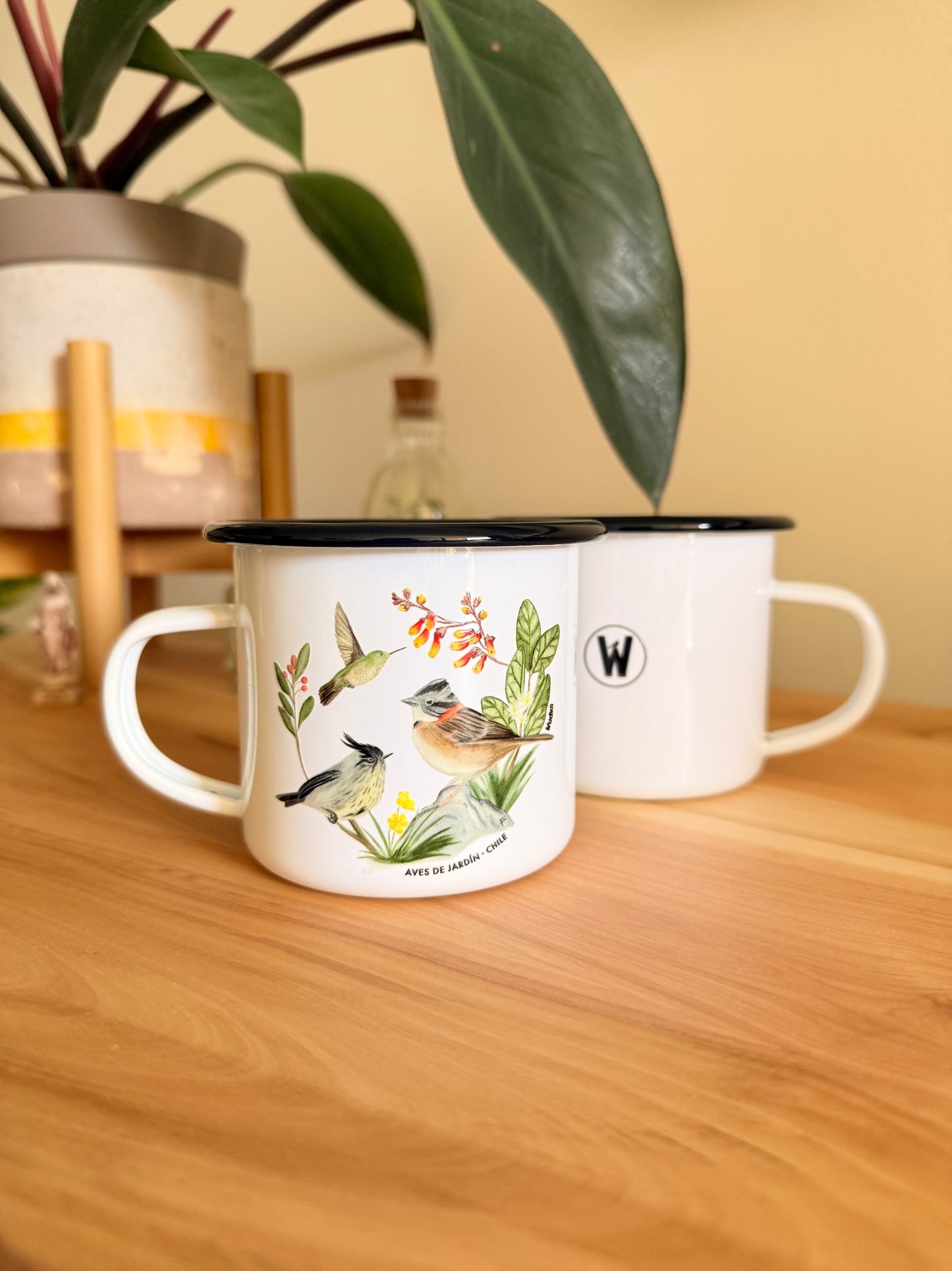 Tacho Naturaleza de Chile