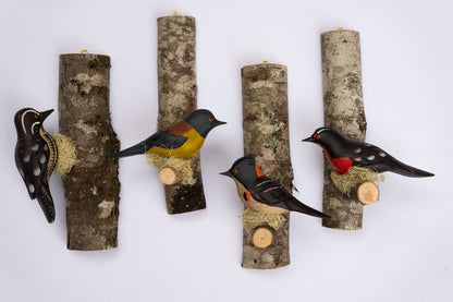 Aves de Madera